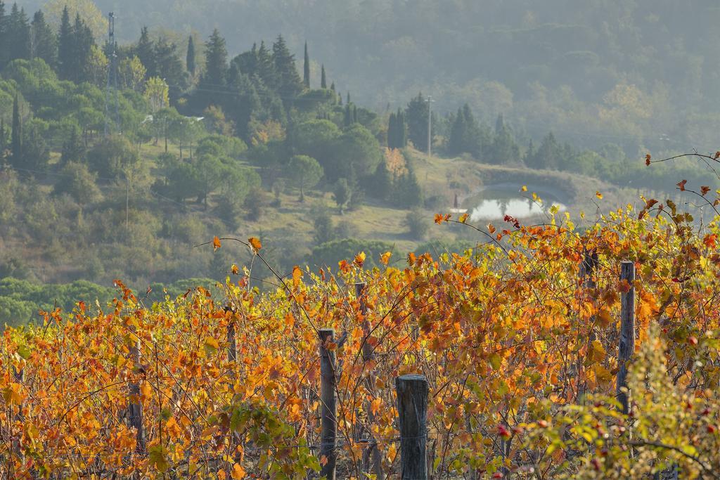 Agriturismo La Presura Strada in Chianti Exterior foto